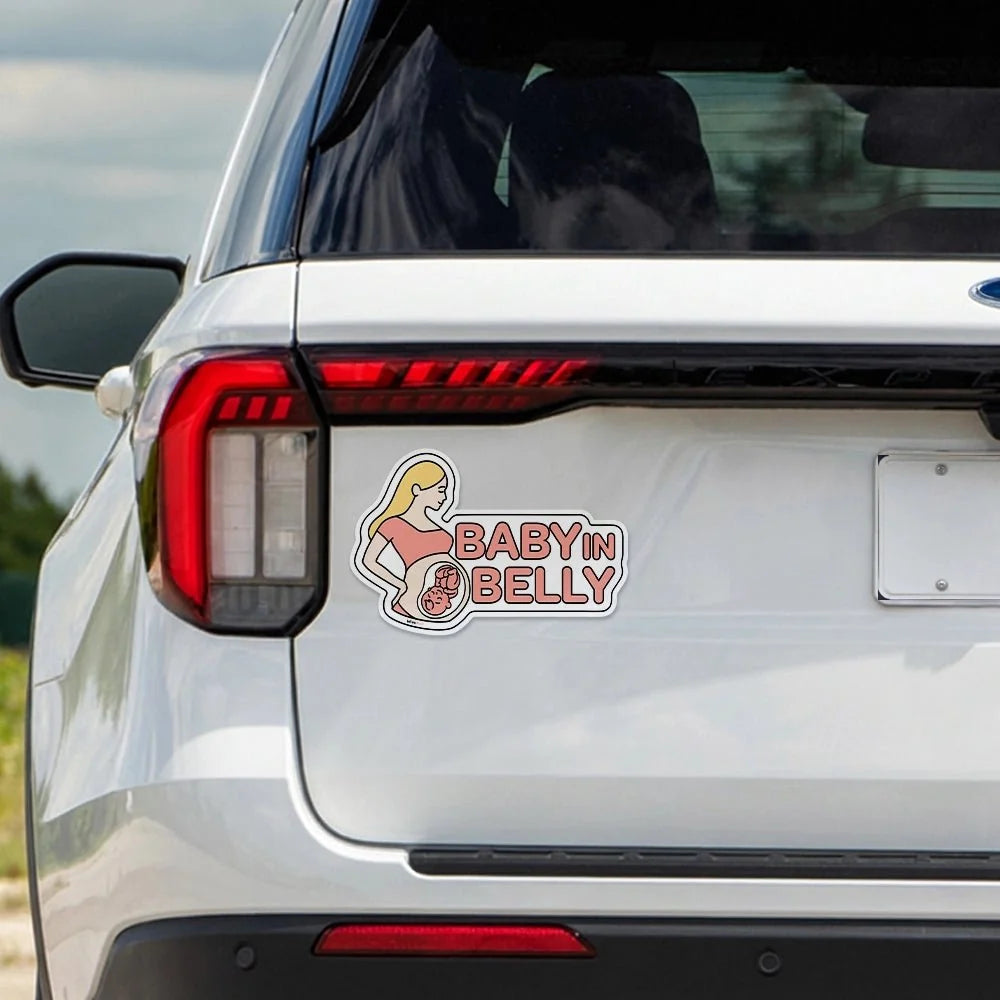 Car Magnet Bundle Set